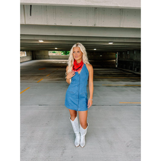 Tailgate Denim Dress